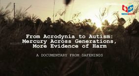 From Acrodynia to Autism: Mercury Across Generations, More Evidence of Harm